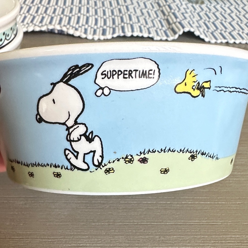 Snoopy and Woodstock Suppertime Bowl